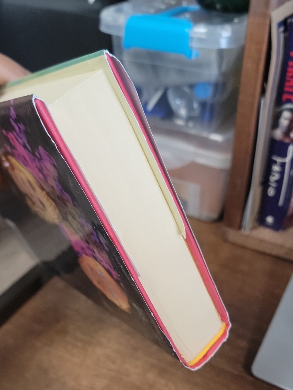 Run Rose Run Hardback - Picture 6 of 8